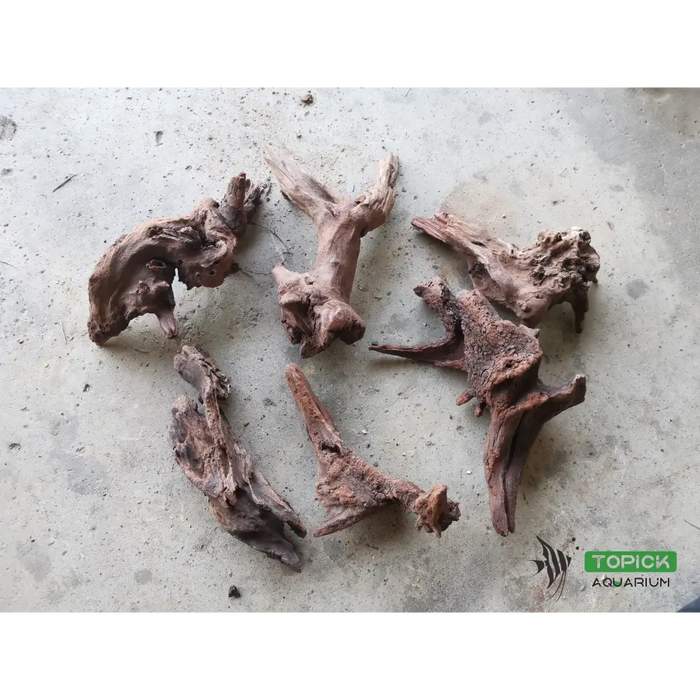 Small driftwood pieces 15 20cm (2lbs) (5 8pcs)