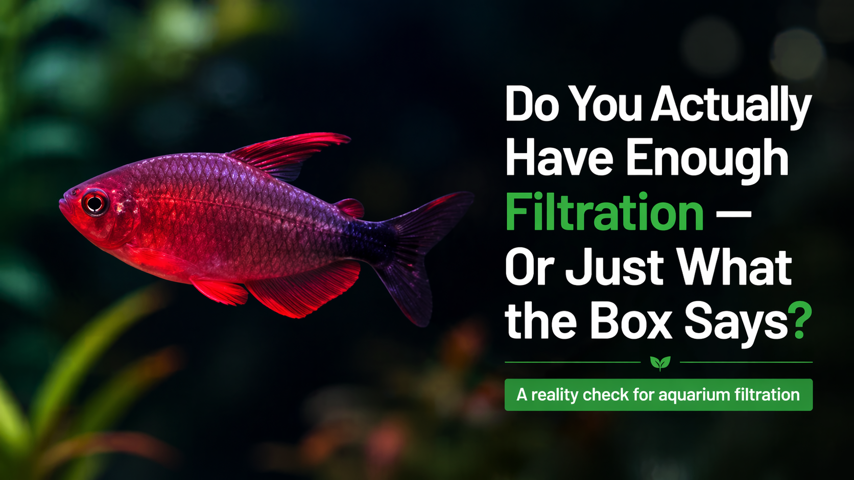 Do You Actually Have Enough Filtration — Or Just What the Box Says?