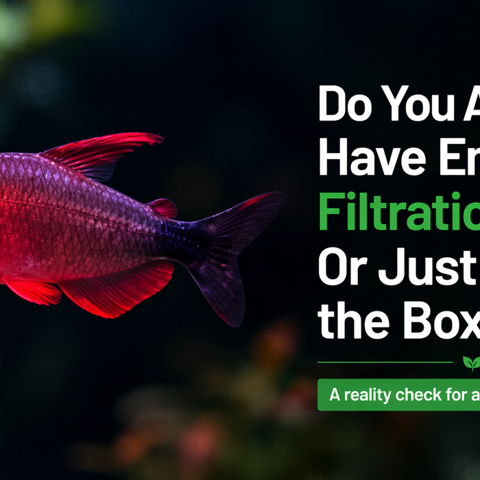 Do You Actually Have Enough Filtration — Or Just What the Box Says?