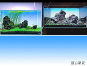 Aquarium gradient background paper