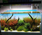 Aquarium gradient background paper