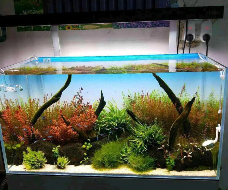 Aquarium gradient background paper