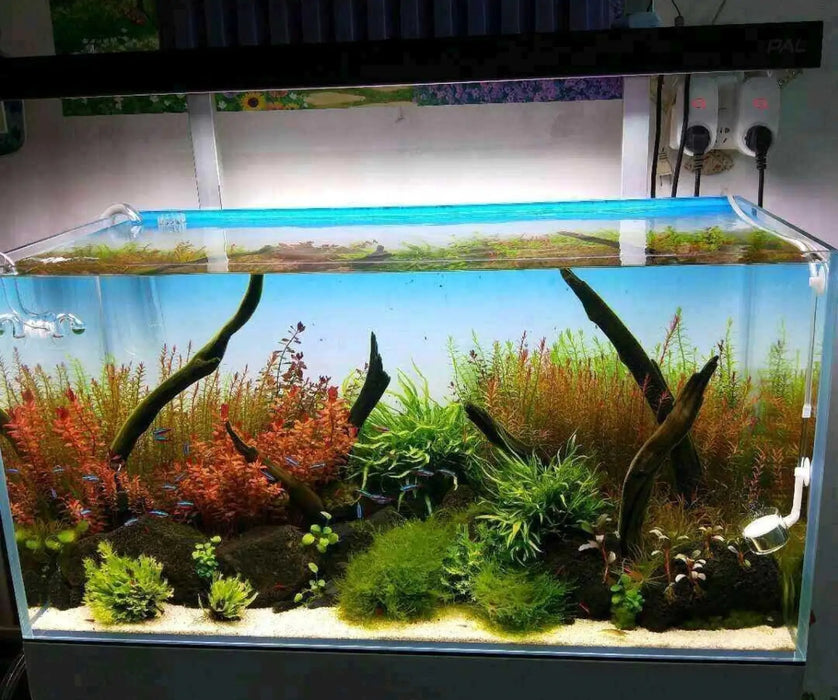 Aquarium gradient background paper