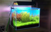 Aquarium gradient background paper