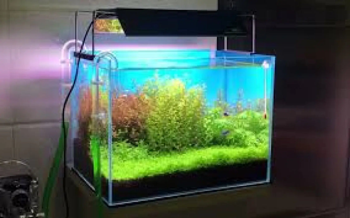 Aquarium gradient background paper