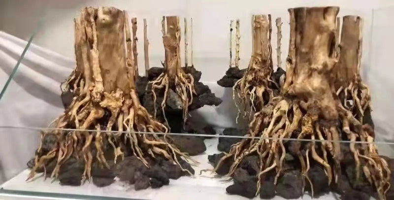 Aquascaping hardscape glue