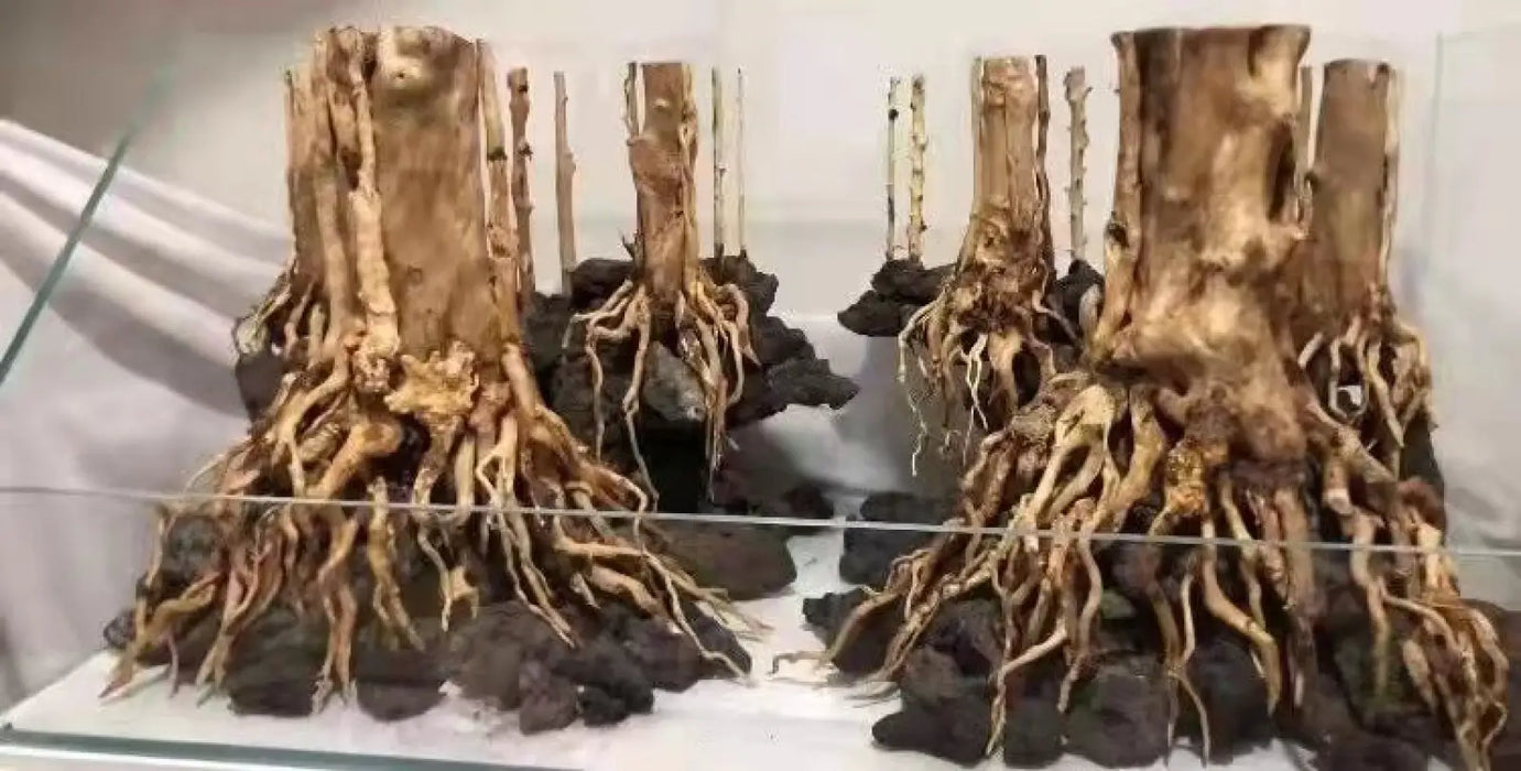 Aquascaping hardscape glue