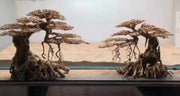 Aquascaping hardscape glue