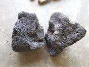 Black lava rock - ~25cm (10lb) (1pc large +multiple small