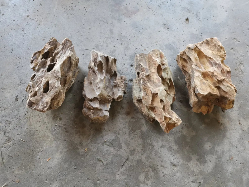 Dragon stones - 10-15cm (5lbs) (4-6pcs)