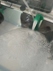 High-density sponge filter - equipment