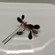 Planting fork