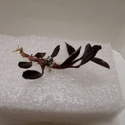 Planting fork