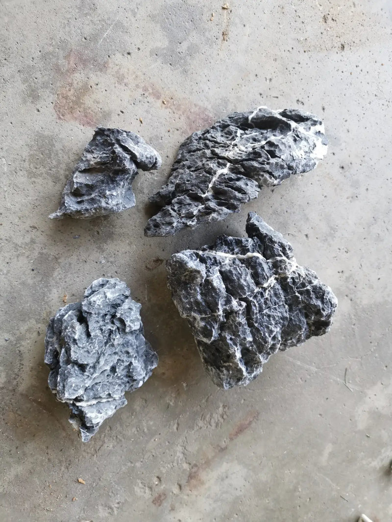 Seiryu stones - acid washed 10-15cm (5lbs) (3-5pcs)